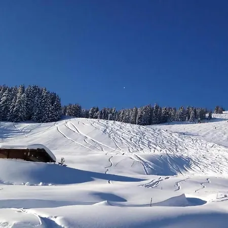 Wallegg In Hinterglemm Holiday home Saalbach-Hinterglemm